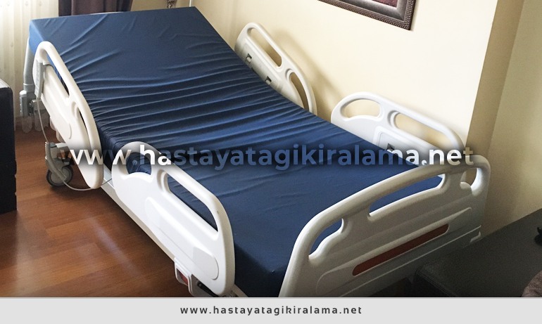Hizmetler